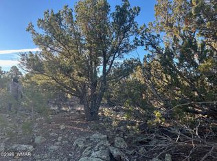 80 Ranch Rd, Vernon, AZ 85940