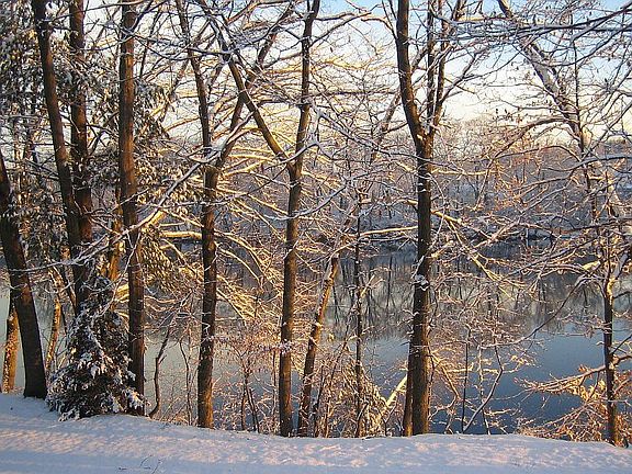 4th image of 61 Walden Pond Dr