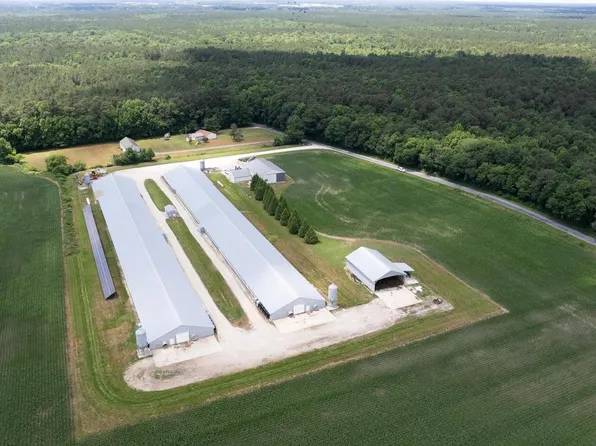 5405 Wesley Rd, Hurlock, MD 21643