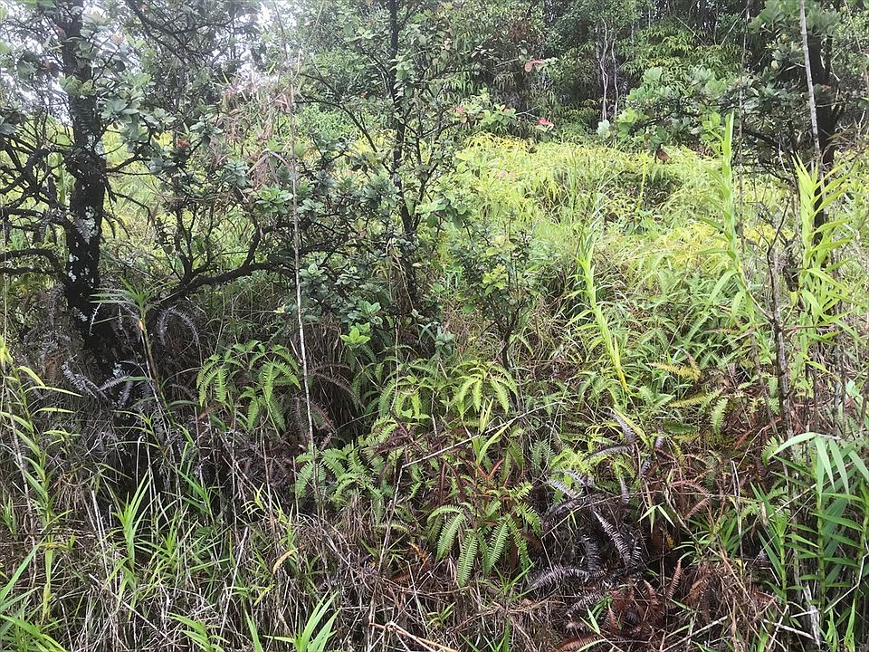 2nd image of Koloa Maoli Road Rd #9-lot 5313