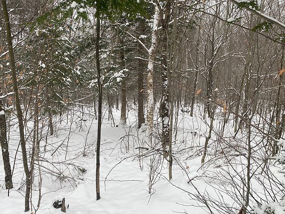 4th image of Lot 225 W Birch Lane