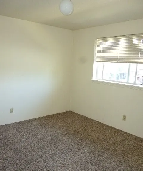1110 Woodrow Ln — Photo 5