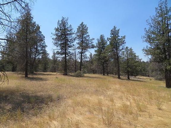 4th image of LOT 630 Whitepine St