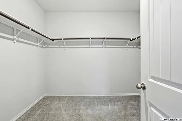 12611 Auriga — Photo 20