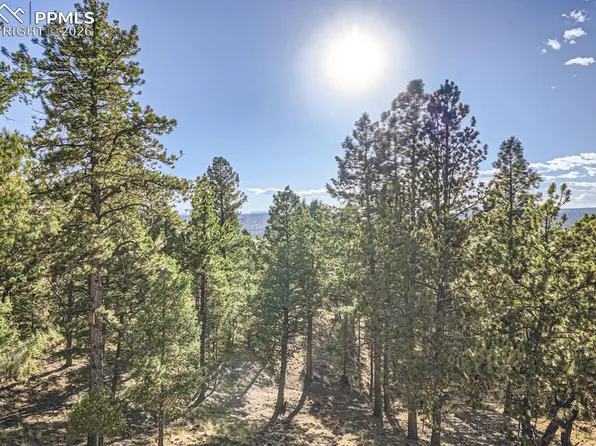 37 Amanda Cir, Florissant, CO 80816