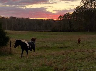 1751 Rivendell Rd, Dadeville, AL 36853