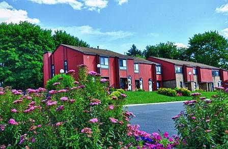 Beautiful landscaping