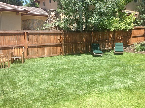Back Yard (north view)