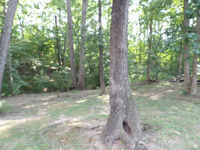 244 Meadowview Dr #12 — Photo 35