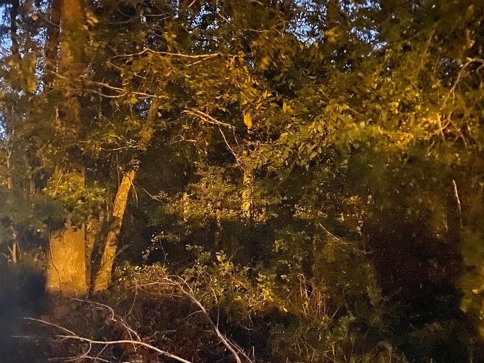 2nd image of 39174 Lee Stevens Rd