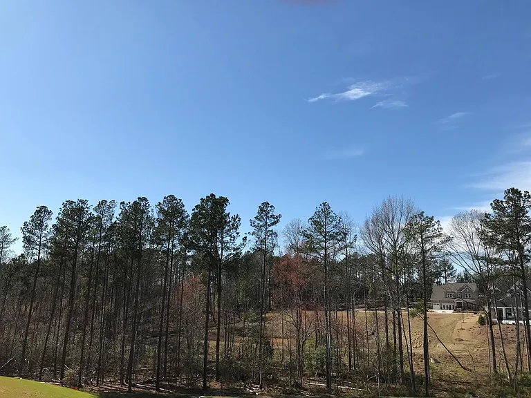 View from deck