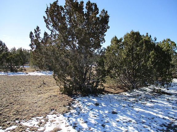 5th image of 2224 W Critter Pass