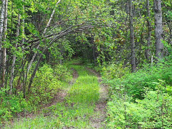 5th image of 16882/16912 Highway 31