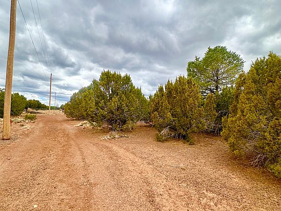 4th image of 65 County Road 8148