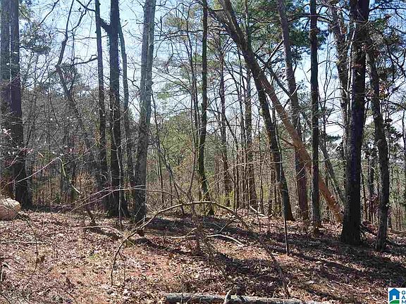 4th image of Lakeland Hills Dr #15