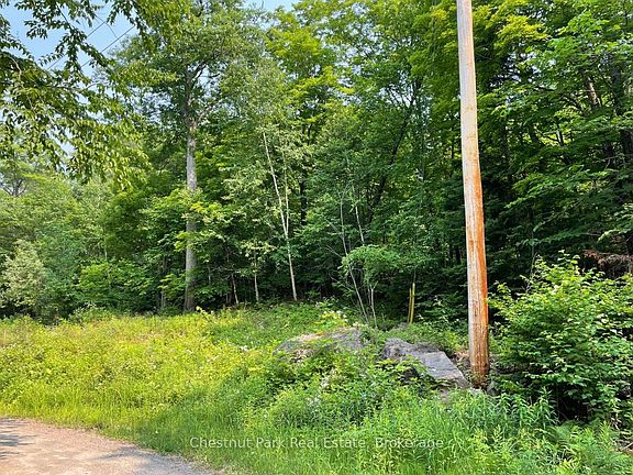 2nd image of 0 Coleman Lake Rd