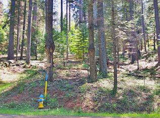 1636 Coniferous Dr, Arnold, CA 95223