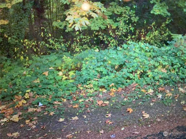 0 SE 58th St, Issaquah, WA 98029