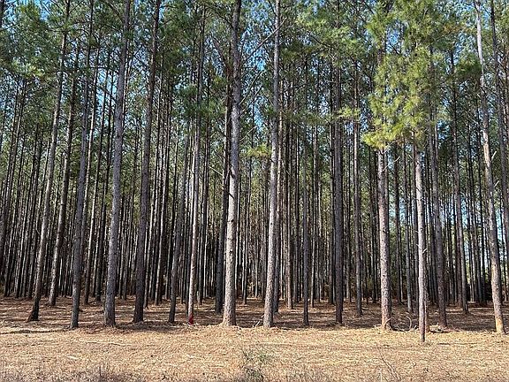 5th image of 0 Grimes Rd Lot 1