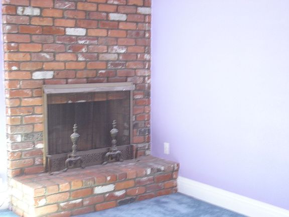 woodburning fireplace