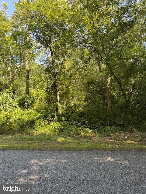 2nd image of Sand Hill Rd
