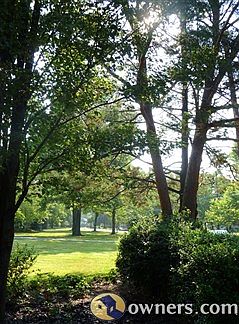 a view across yards
