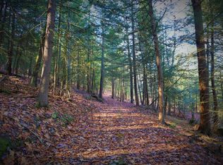 6541 County Route 21, Addison, NY 14801