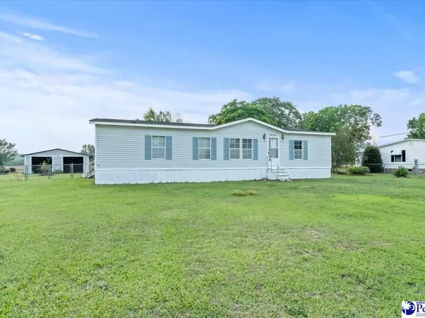 5721 Anderson Field Rd, Effingham, SC 29541
