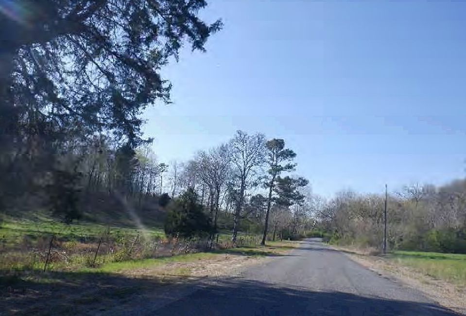 Exterior Neighborhood (street photo)