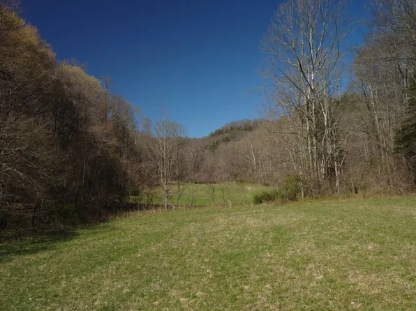 1 Long Hollow Acres, Burkesville, KY 42717