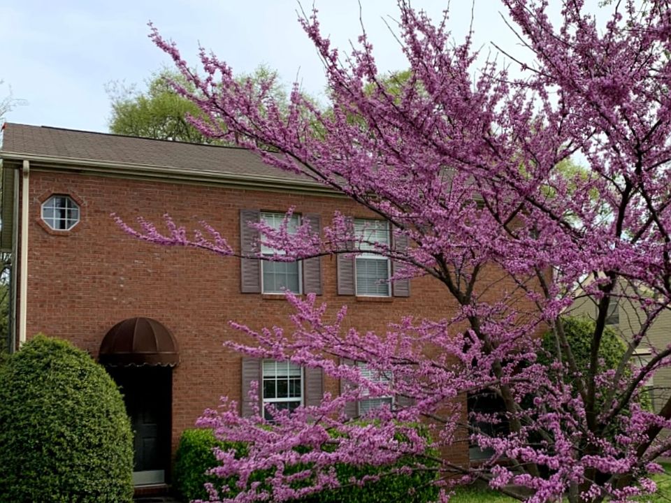 1st image of 2608 Acklen Ave #A
