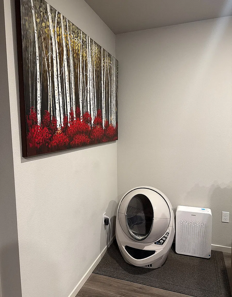 3 bed, 1665 sqft, $800 — Photo 3