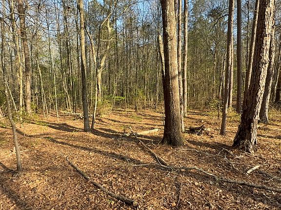 2nd image of 0 Oak Mountain Rd