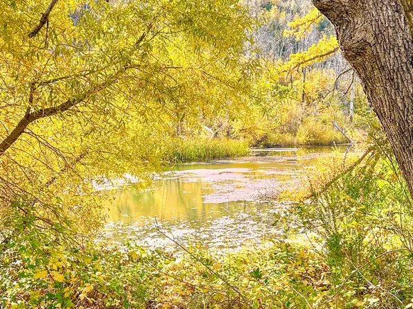 Avenue A, Mountain Ranch, CA 95246