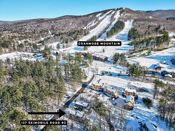 3rd image of 137 Skimobile Road #3