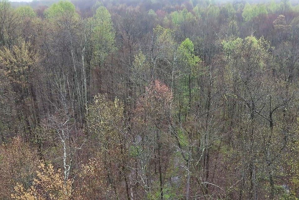 2nd image of 0 E County Line Rd