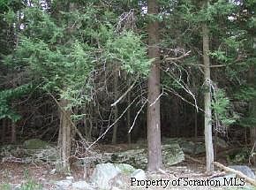2nd image of 51/63 Wallenpaupack Dr