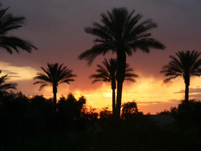 Take in a lovely Arizona sunset here!