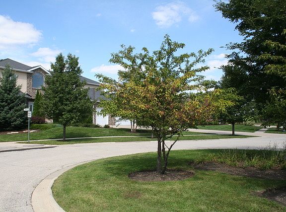 4th image of 24664 W Coachford Ct