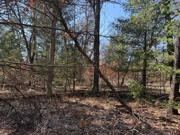 W Erie St, Baldwin, MI 49304