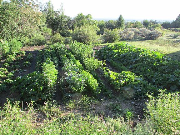 4th image of Tract 13 Luis O Torres Rd