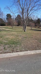 158 Cold Creek Rd, Madisonville, TN, 37354