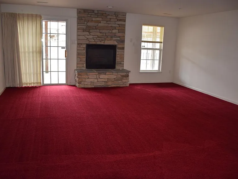 Basement - Fireplace