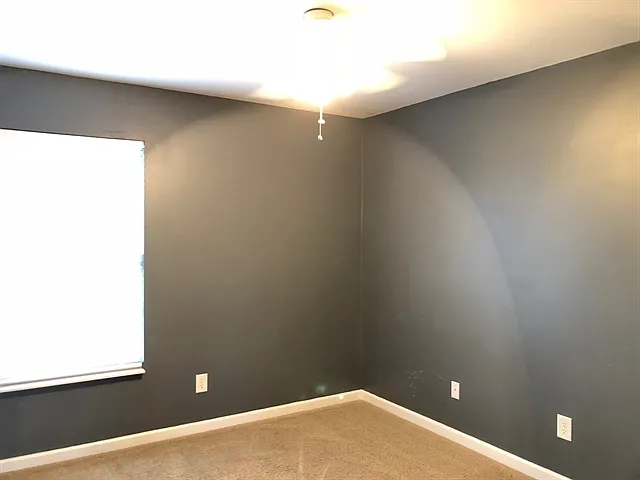 1010 Tanyard Springs Dr — Photo 16