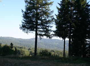 25907 NE 146th Way, Brush Prairie, WA 98606