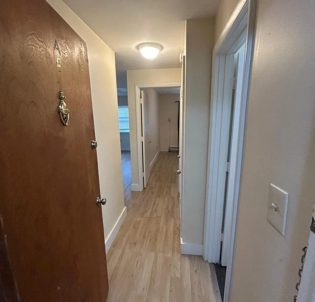 1 bed, 900 sqft, $1,200 — Photo 2