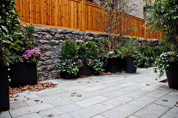 Rented by Town Residential | media 49