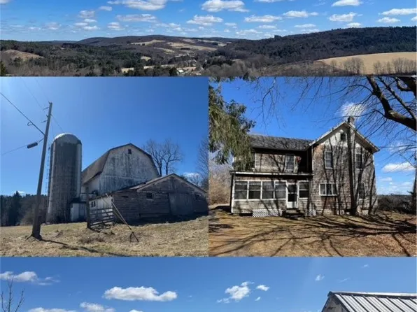 4929 Parker Hollow Rd, Unadilla, NY 13849