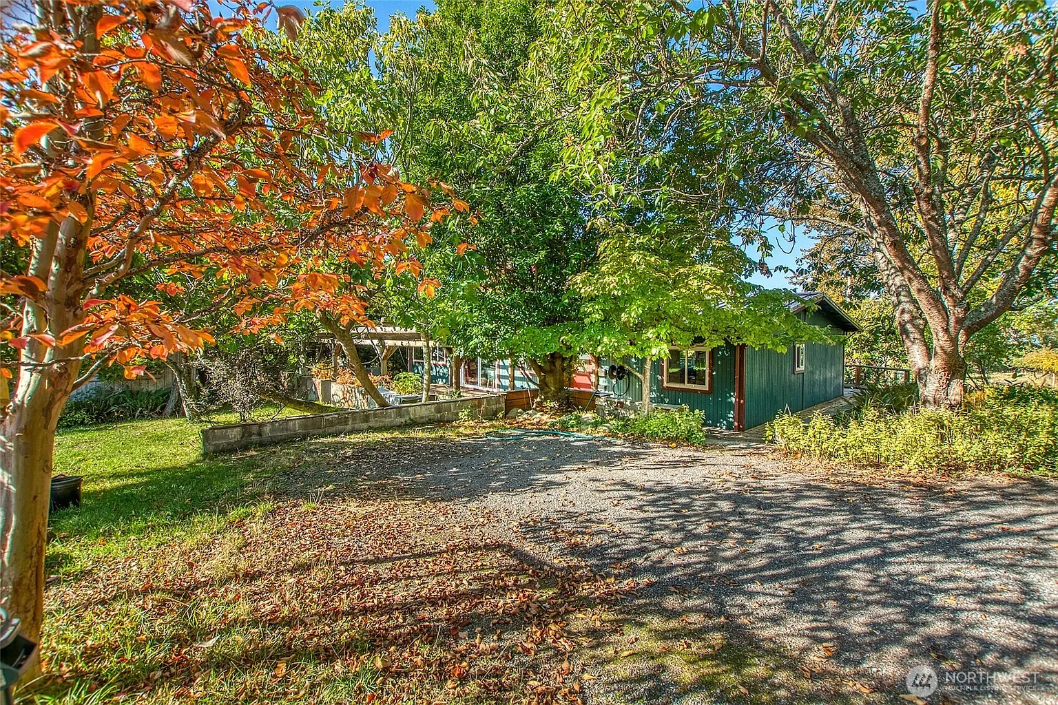 162 Alder Street photo 1