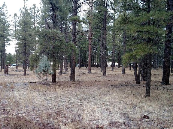 3rd image of 3829 E Pine Cone Dr
